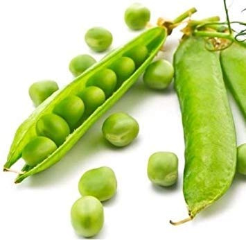 VISA STORE Fresco verde guisante de flecha ow 50 semillas Pisum sativum de la herencia no GMO