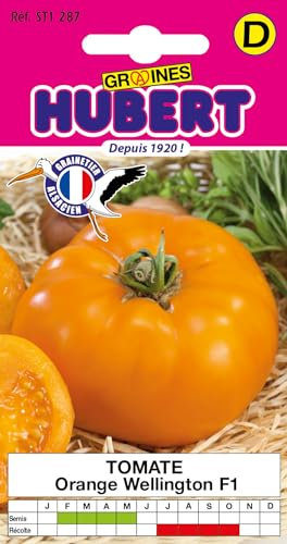 12 graines de Tomate Orange Wellington F1
