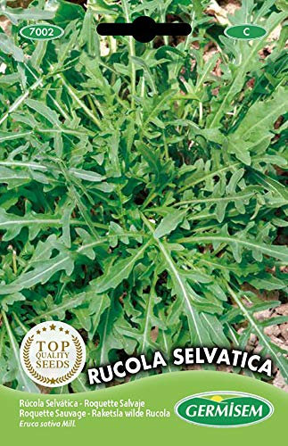 Germisem Rucola SELVATICA, mehrfarbig, EC7002