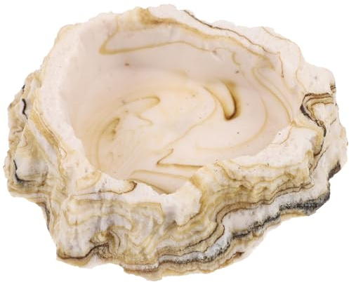 Toddmomy Gamelle pour Reptiles Et Lézards Bol Réutilisable Résine pour Nourriture Et Eau Compacte