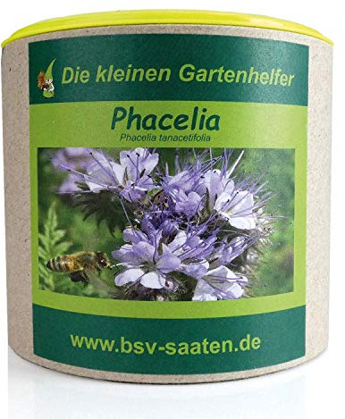 Keimsamen Phacelia 150g I Samen zur Bodenverbesserung und Unkrautvermeidung I Ideal als Bienenweide I Zertifiziertes Saatgut für 100 m²