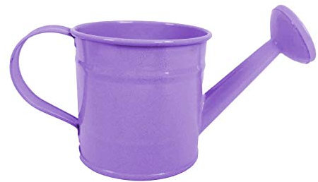 [Purple Can Only] Mini Functional Watering Can and Tools Optional! Actually Works!