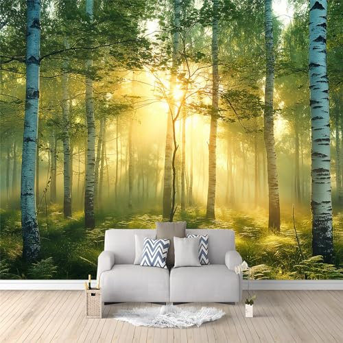 Fototapete Wald Birkenwald Sonnenaufgang 400x280 cm Tapete Fototapeten Vlies Tapeten Vliestapete Wandtapete Moderne Wand Schlafzimmer Wohnzimmer Wand tapete