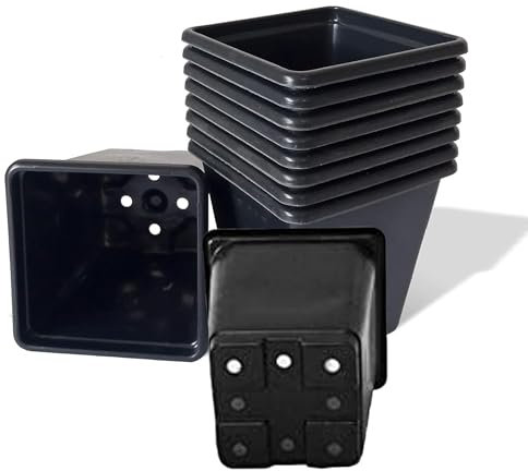 9 cm plastkrukor svart kvadrat (paket med 100) – perfekt för växter, perenner och örter (paket med 100 krukor)