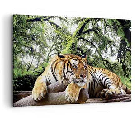 Wandbilder Dekoration Wohnzimmer Tiger Dschungel Ruhe Bilder auf Leinwand 120x80cm Leinwandbild Schlafzimmer Küche Deko Wand Kunstdruck Art Groß XXL Wanddeko Bild Wall Decor Canvas AA120x80-4166