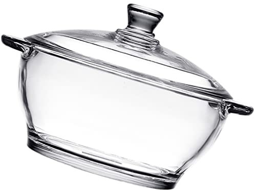 Angoily Glastopf Mit Deckel Zum Kochen: Glas Kochtopf Glas Topf Für Kochen - Klarglas Kochtopf Und Pfanne Mit Deckel Für Pasta, Nudeln, Suppe, Milch, Tee Und Salat (21,6 x 25,9 x 15,5cm)