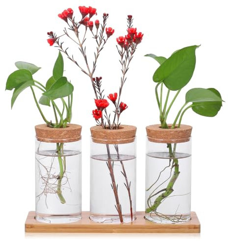 YOYEAH Propagation Station Propagation Plant Glass 3 Vases pour Plantes Hydroponiques Pot de Fleurs en Verre pour la Décoration de la Table et de la Maison