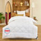 DREAMWAY - Bettdecke 155x220 cm Ganzjahresdecke 4 Jahreszeiten, Steppdecke 300gsm Mikrofaser 155x220cm, Super Weiche Decke Zudecke Schlafdecke Atmungsaktive 155 x 220 Weiß, Oeko-Tex Zertifiziert
