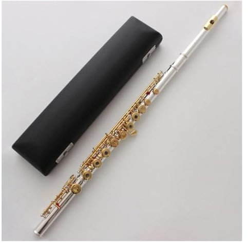 Professionelle Querflöte Versilberte Flöte, Vergoldete Lippenplatte, Goldene Klappen, 17 Löcher, Offenes Loch, C-Ton-Flöten Mit Koffer