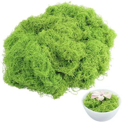 SOFPLATE Muschio Artificiale Decorativo Da 5.29 OZ/150 G Colore Oliva per Artigianato Piante Da Giardino Dellse Fate Accessori per Composizioni Floreali Centrotavola Da Giardino Dellse Fate Decorazion