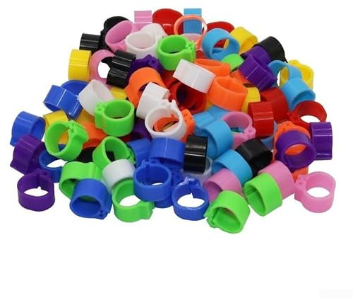 200-Pack Plastic Racing Pigeon Leg Rings Bands, 10 mm Inner Diameter, for Bird Identification and Training, Lightweight &