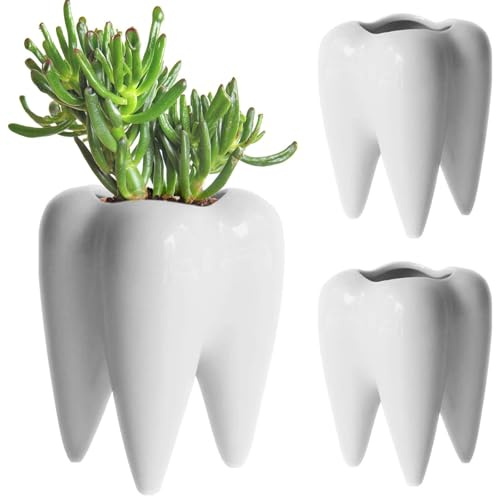 BAIFULAI Keramisk tandform blomkruka, tänder blomkruka pennhållare mini planteringskärl kaktusar suckulenter blomkruka för trädgård kontor skrivbord dekoration kreativ present
