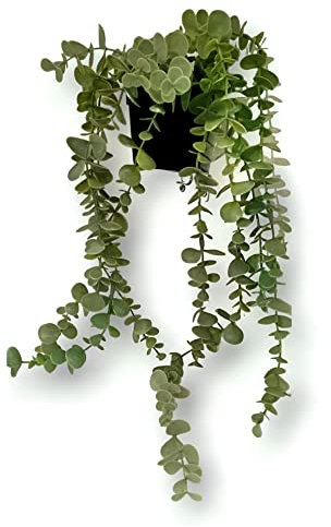 FEJKA Artificial Potted Plant, In/outdoor Decoration Hanging [Eucalyptus 9cm]