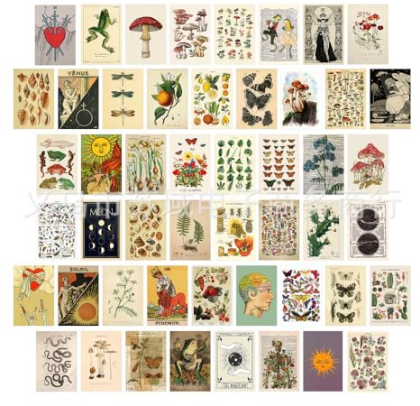 Bymivofun Confezione da 50 Immagini Estetiche per Collage da Parete, Esposizione di Foto in Dormitorio, Stampe d'arte da Parete per la Stanza, Poster Murali Estetici Boho286