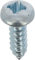 Tornillo de chapa de acero inoxidable A4 cilíndrico abombado Pozidrive, 4,2 mm x 13 mm, DIN 7981, zinc blanco, lote de 50