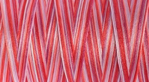 Unbekannt G730809-9974 Garn, Polyester, 9974 Rot/Rosa, 1000m, 1000 meter