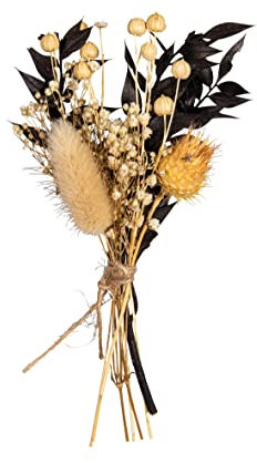 Rayher Bouquet de fleurs séchées naturelles, noir, 1 bouquet, 18-20cm, arts créatifs, art floral, décoration, scrapbooking-85491576
