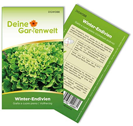 Winterendivien Gialla a cuore Samen - Cichorium endivia - Winterendiviensamen - Gemüsesamen - Saatgut für 200 Pflanzen