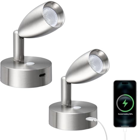 acegoo 12V LED läslampa husbil båt dimbar lampa med laddare typ C väggsäng, dimbar sängsäng, dimbar DC12-24V för båt kabin lastbil skåpbil husvagn (borstad nickel, 2 st)