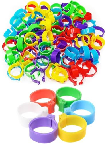 60 Stück Geflügel Band, hühnerringe，Plastikgeflügel Beinringe für Hühner, Enten, Hühner, Taube, Kleintiere, 6 Farben, leicht zu unterscheiden