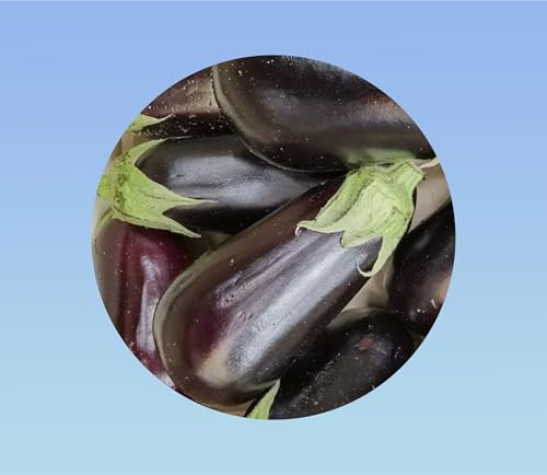 50 graines d' Aubergine Violette - eggplant - saveur delicate - planete graines