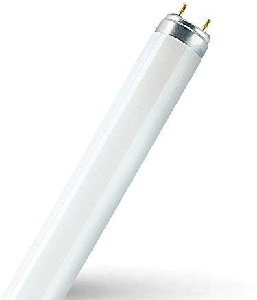 Osram LED bombilla, cristal, G13, 19.1 W, color blanco frío, 151.3 X 2.6 x 2.6 cm