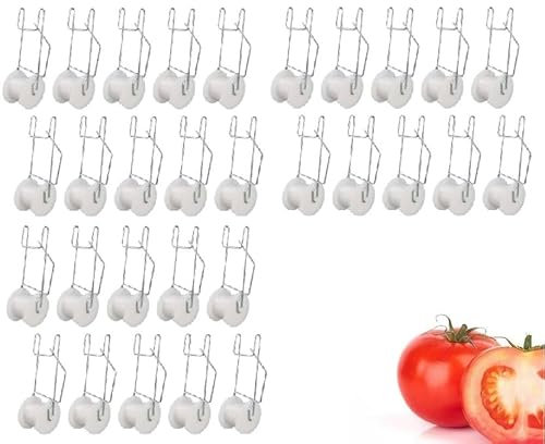 ZHANTAI Lot de 30 crochets à rouleau pour treillis à tomates avec ficelle de 15 m de ficelle robuste pour treillis et plantes - Fil d'acier PP résistant à la chaleur et économise de l'espace -15 m