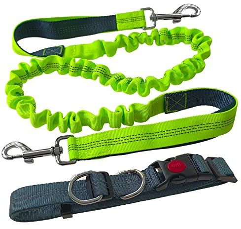 Aiqeer Freihändige Hundeleine, Grau Verstellbarer Hüftgurt und Grün Dehnbare Bungee-Leine, Jogging Hundeleine mit Reflektierenden Nähten