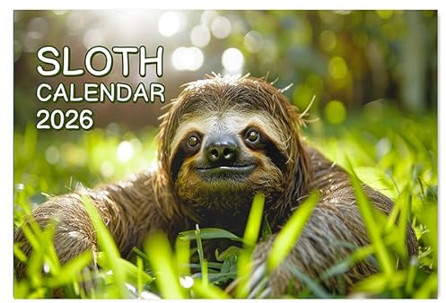 Sloth Calendar 2026 A4 12 Month View Wall Calendar 2026 A3 When Open Papa Prints (Sloth Stable)