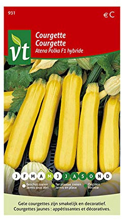 Semillas de calabacín Atena Polka F1 híbrido - Atractivo y también fácil de cultivar