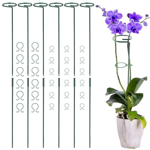 6 Pack Plant Support Stakes, Two Sizes(12 or 24 Inch) Adjustable Single Stem Plant Support Stakes, Garden Plant Sticks Support with 30 Orchid Clips for Peonies Tomatos Rose Plant Climbing