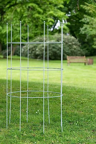 KUHEIGA Rankhilfe Metall Ø 60cm H: 115cm Zink Rankhilfe Rankgitter Obelisk Rankgerüst