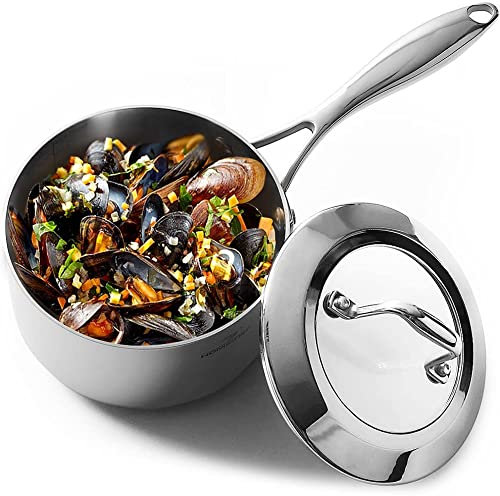 HOMICHEF Casserole en acier inoxydable poli miroir sans nickel avec couvercle en verre (16 cm, 1,7 litre) - Revêtement antiadhésif non toxique, revêtement 3 plis