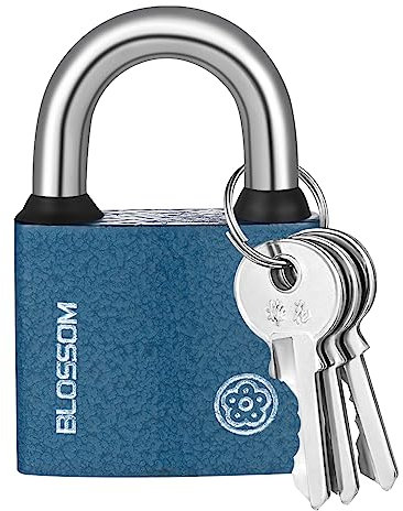 RosewineC Heavy Duty Padlock, Iron Padlock with 3 Keys, Weatherproof Security Lock for Outdoor Use, Shed, Warehouse, Fence, Office (50 MM)