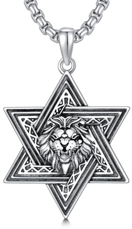 ROMANTICWORK Davidstern Kette 925 Sterling Silber Judenstern Anhänger Magen David Anhänger Hebräische Halskette Löwen Kette Davidstern Jüdischer Israel Schmuck Löwen Schmuck für Männer Damen