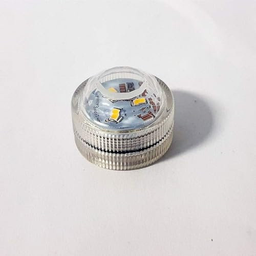 Nordic Lights LED Light for Bone Porcelain White Dome | LED Battery-Powered Wireless Night Light | Versatile LED Tea Lights for Porcelain tealight Holder Domes. (White Light)