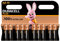Duracell Plus New 163553 - Pilas alcalinas AA Mignon (1,5 V, LR6 MN1500, 10 Unidades)