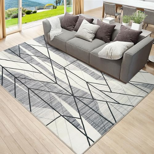 Betadistor Large Rugs for Living Room - Abstract Geometric Design Rug Living Room, Large Size Soft Touch Short Pile Carpet, Non Shedding, 4ft x 5.3ft, Grey Line, 302-02120