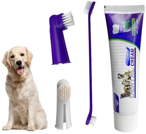 Hundezahnpasta,Hundezahnpasta Gegen Zahnstein,Zahnpasta für Hunde,Zahnpasta Hund Gegen Zahnstein Beugt Mundgeruch Vor,Erfrischt Den Atem,Entfernt Zahnstein(Rindfleischgeschmack)