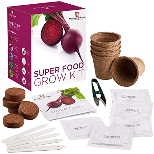 Super Food Seed Growing Kit Gift Box - 5 Specially Selected Salad to Grow Your Own; Lettuce, Spring Onion, Carrot, Beetroot & Spinach Seeds by Thompson & Morgan