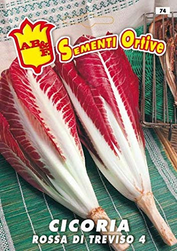Semi Cicoria Radicchio Di Treviso,2 Buste linea maxi, Mondonatura Srl