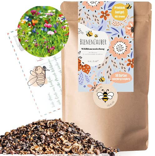 Blumensamen I 100g I 100m² Samen mehrjährig und einjährig I Samen für Bienen Blumenmischung I Wildblumensamen für Balkonblumen und Wildblumen I bunte Bienenweide