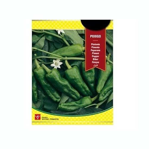 Semillas Pimiento de Padrón Fáciles de Cultivar en el Huerto