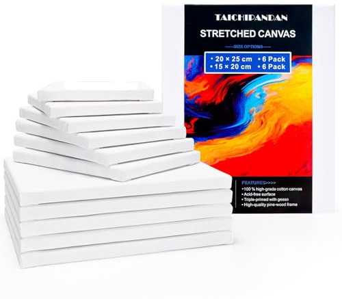 Stretched Canvas Boards Set - 6x15x20cm & 6x20x25cm Wooden Framed Painting Panels, 100% Cotton Primed for Acrylic/Oil/Watercolour, Ready to Hang