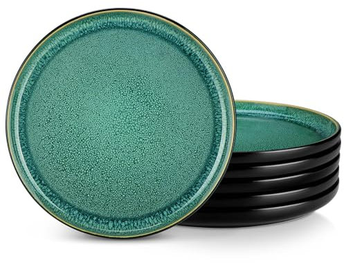 vancasso Speiseteller Steingut, Essteller set 6 Personen, Teller Set, Geschirr für Spülmaschine und Mikrowelle, Pastateller, Frühstücksteller, Kuchenteller