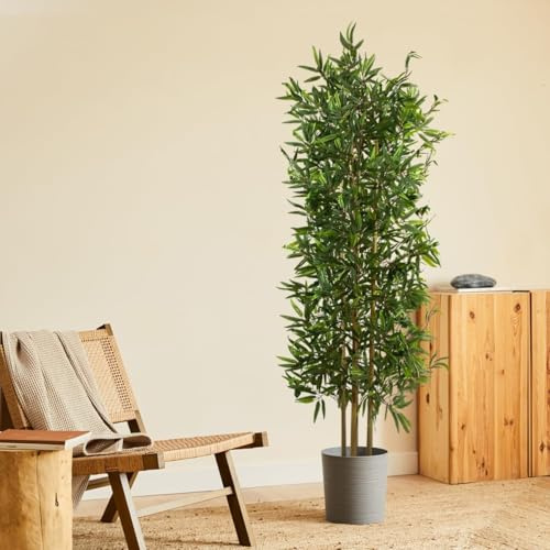 BLAINE | Japansk bambu 150cm | Dekorativa konstväxter | Stor konstväxt | Konstväxter för inom- och utomhusbruk | Realistisk dekorativ konstväxt för hemmet
