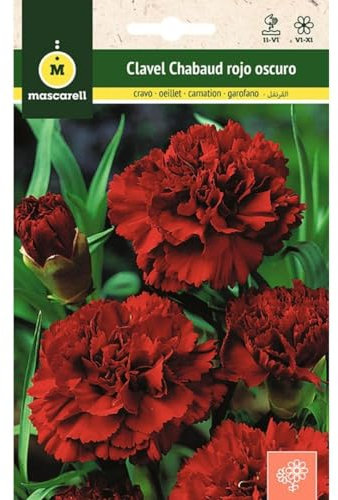 Mascarell Semillas, CLAVEL CHABAUD GIGANTE ROJO OSCURO, Semillas Flores Exterior para Decoración, 0,4 Gramos