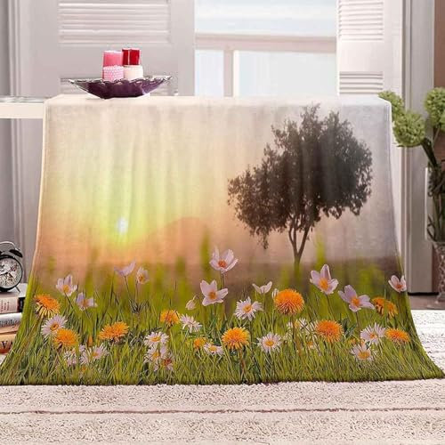 Blumen Kuscheldecke Flauschig 150x200cm Anlage Fleecedecke Weich Sofadecke Warm Bettdecke Decken Wohndecke Tagesdecke Sofaüberwurf Decke Couchdecke Bettüberwurf K976