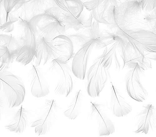 DekoHaus 3g Dekorative Federn in Weiß 5-8 cm Dekoration Basteln Party
