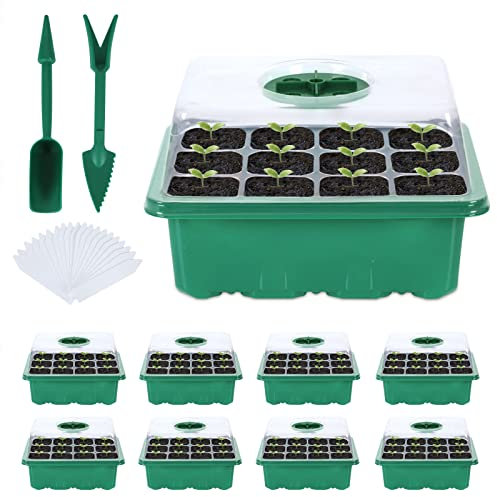 Icastny Zimmergewächshaus Anzuchtkasten, 8 Stück 96 Zellen Anzuchtschalen Anzucht Set, Treibhaus mit Gartengeräte und Pflanzenetikett für Sämling Pflanze